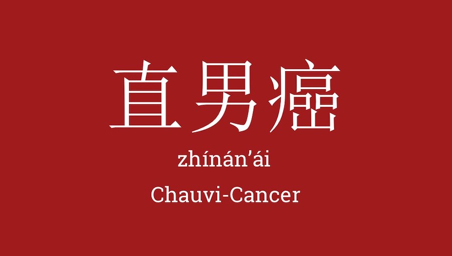 直男癌 zhinan'ai